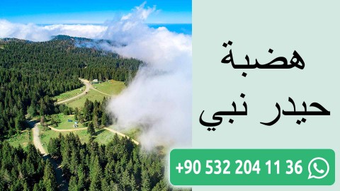 هضبة حيدر نبي